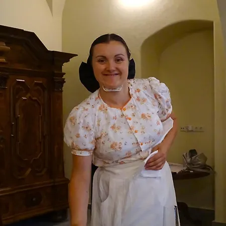 Апартаменты Stadtpalais Merkur-apartment Maximal 2 Personen